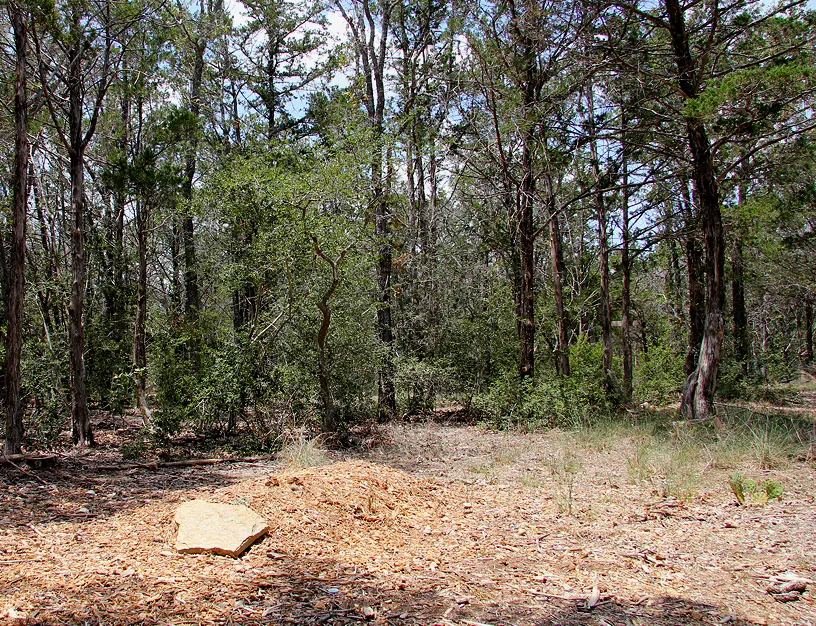 A grave in Eloise Woods Community Natural Burial Park in Cedar Creek, Texas, United States.