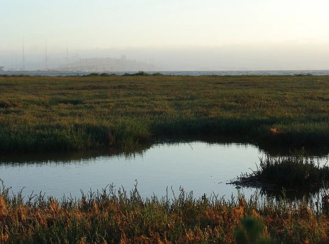 Photo of Emeryville