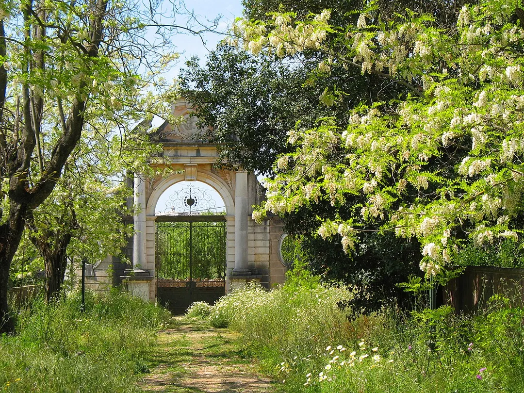 Baroque gate and gardens, with blooming Robinia pseudoacacia, of the Palácio de Estoi.
Located in Estoi, Faro district, Algarve region, Portugal.