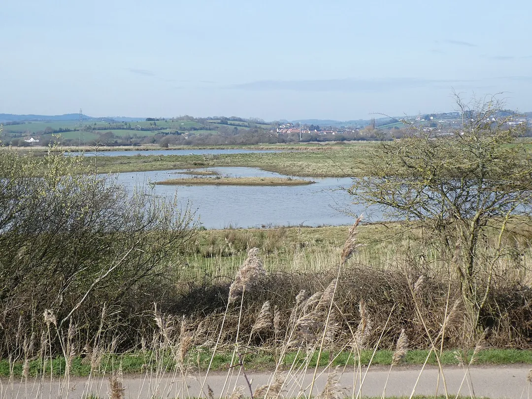 Exminster Marshes with Exminster in the distance