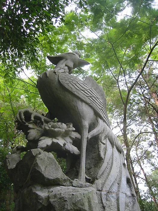 Photo of Fenghuang