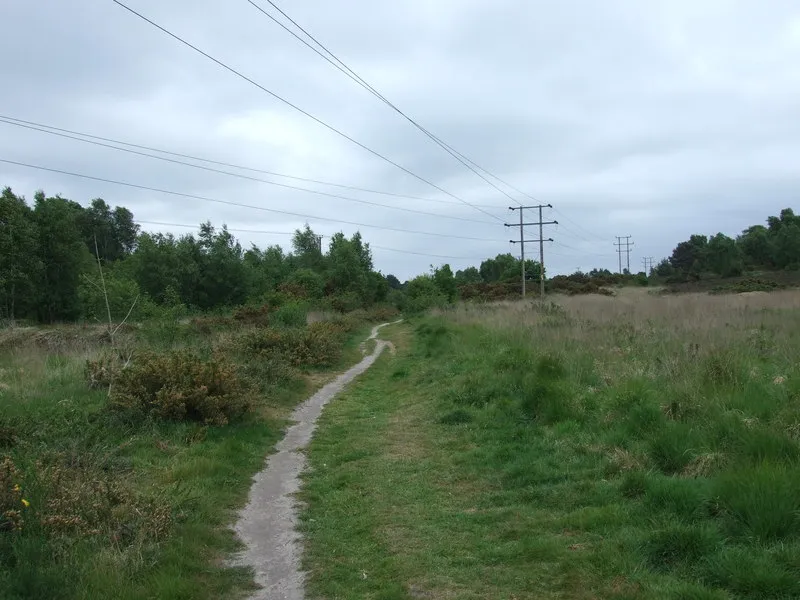 Footpath On Ferndown Common, Ferndown