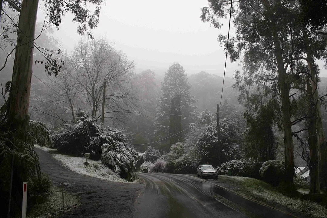 Snow in Ferny Creek, Victoria, Australia, August 10, 2008. At approximately 350 m elevation.