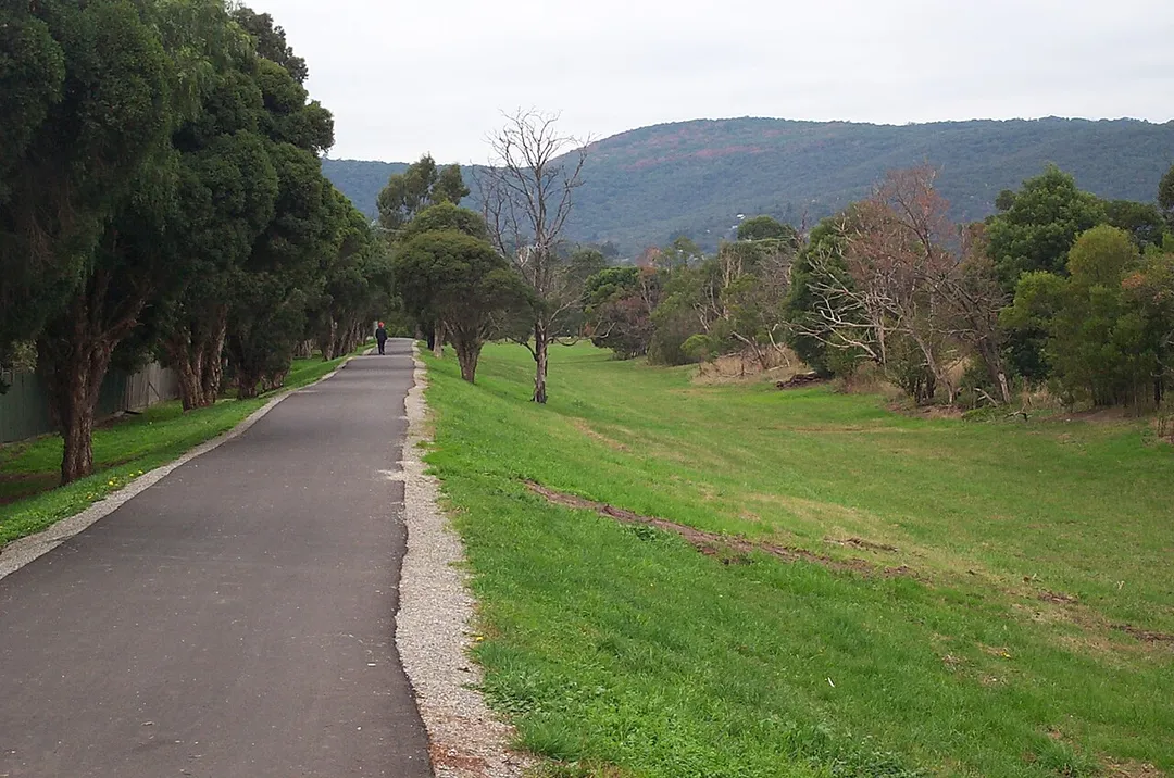View of the Ferny Creek Trail in Ferntree Gully, Victoria, Australia.