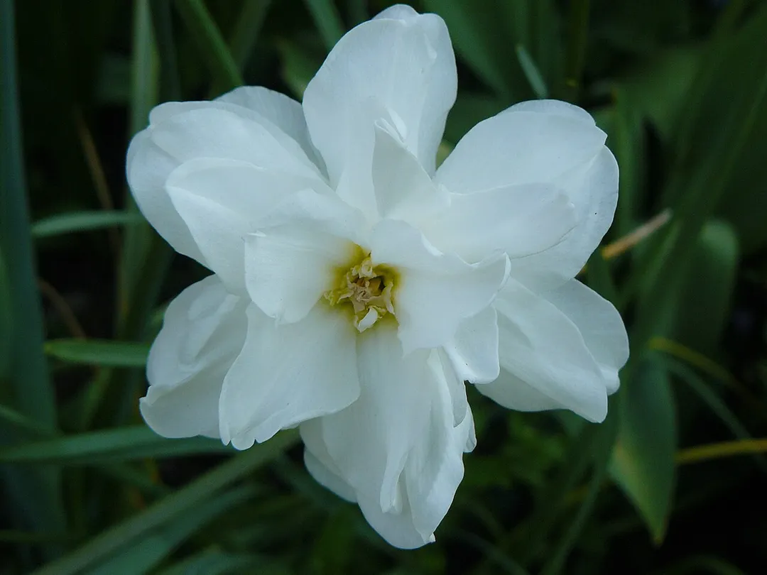 Photo of Findern