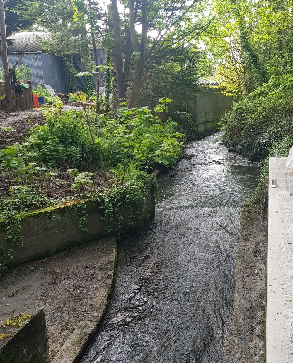 Close to the confluence of Finglas-stream and the river Tolka were 3 large houses dating to the 19th century. These were Ardstraw House, St. Brendan’s and Lisín. There was also a cluster of cottages (and their out-houses), numbering 5 residences in total. 
This was also the location of the junction of Old Finglas Road and Finglas Road. The Finglas Road is now the dual-carriage N2. This national primary road is the route from Dublin city to Derry city, becoming the A5 across Northern Ireland. 
The area was known locally as Finglas Bridge, and the little village of cottages as Farrelly’s Cottages, with Dowling’s Yard closest to Finglas-Stream. The placename Dowling’s Yard survives today. However it is no longer a pigsty but instead is a car body shop. 

Dowling's Yard, Old Finglas Road is visible in the photo to the left.