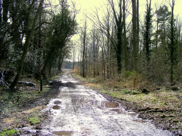 Former Railway at Fochabers