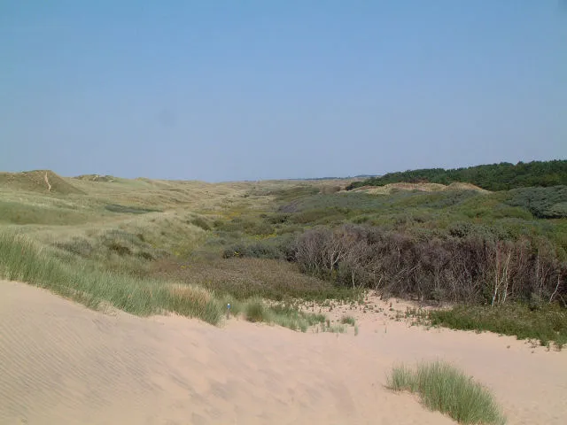 Foredunes at Formby. View northwest across the foredunes from the southern edge of the square on a scorching hot July day.