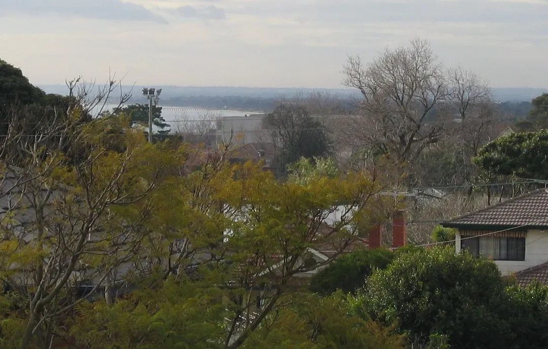 Rooftops of Frankston South, with glimpses of Port Phillip and Seaford Pier.