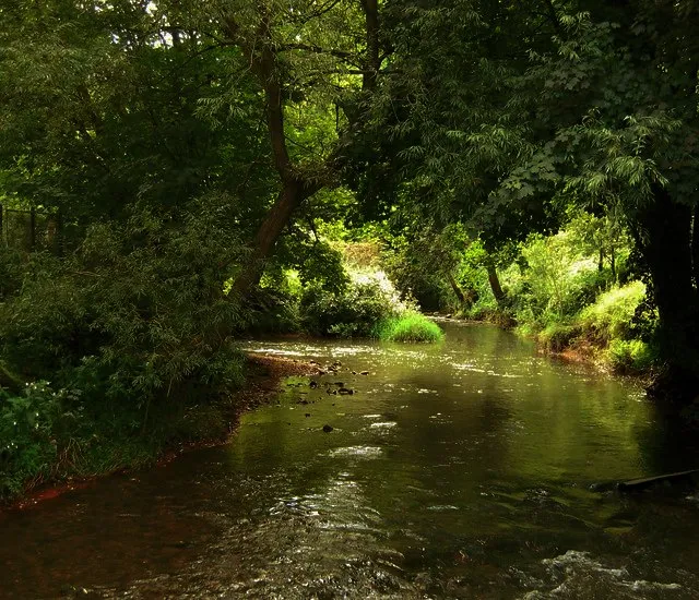 River Frome at Freshford Mill