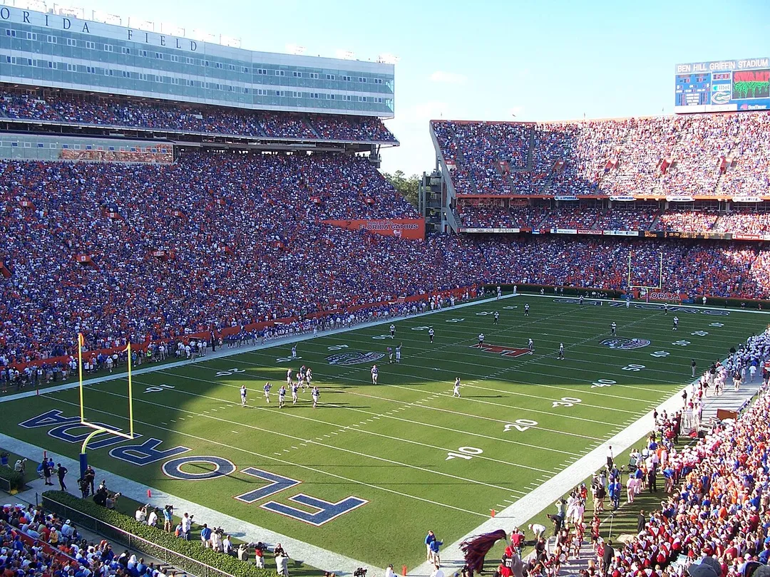 This picture was taken at the South Carolina-Florida game on November 11, 2006 by Randall Stewart.