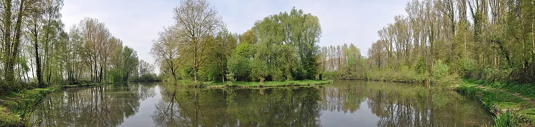 NOTE: This image is a panorama  consisting of multiple frames that were merged or stitched in software. As a result, this image necessarily underwent some form of digital manipulation. These manipulations may include blending, blurring, cloning, and color and perspective adjustments. As a result of these adjustments, the image content may be slightly different from reality at the points where multiple images were combined. This manipulation is often required due to lens, perspective, and parallax distortions.