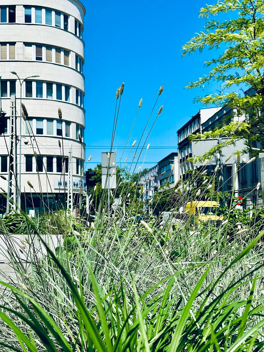 3 Maja Street