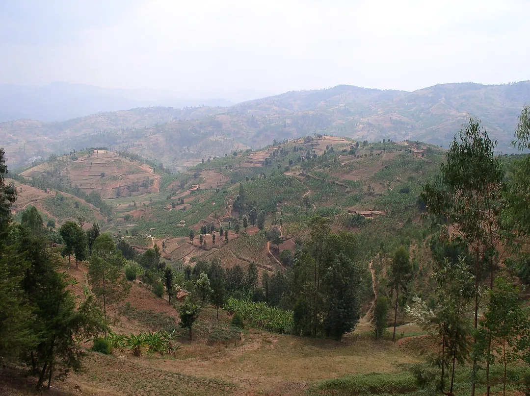 paysage du Rwanda (région de Gitarama)