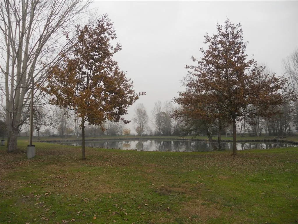 Laghetto artificiale nel Parco La Barona di Giussago (PV)
