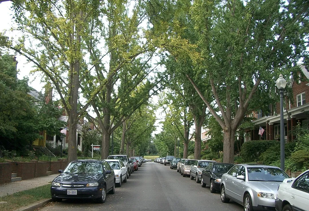 39th Place in Glover Park, Washington, D.C.