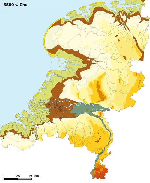 Palaeogeography of the Netherlands 5500 BC.
  Dune and Beach ridge
  Littoral (tidal sand flats, tidal mudflats and salt marshes)
  Bogs, peat marshes, floodplain silt areas and basins of large rivers (including old river courses and riverbank breaches which have filled up with silt or peat)
  Valley of large rivers (not covered with peat)
  River dune (Pleistocene dunes)
  Open water (Sea, Lagoons, rivers)
  Pleistocene landscape (> -6 m relative to NAP)
  Pleistocene landscape ( -6 m - 0 m)
  Pleistocene landscape ( 0 m - 10 m)
  Pleistocene landscape( 10 m - 20 m)
  Pleistocene landscape ( 20 m - 50 m)
  Pleistocene landscape ( 50 m - 100 m)
  Pleistocene landscape ( 100 m - 200 m)