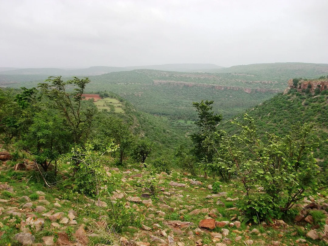 A display of terrain and vegetation just outside of Gokak city.