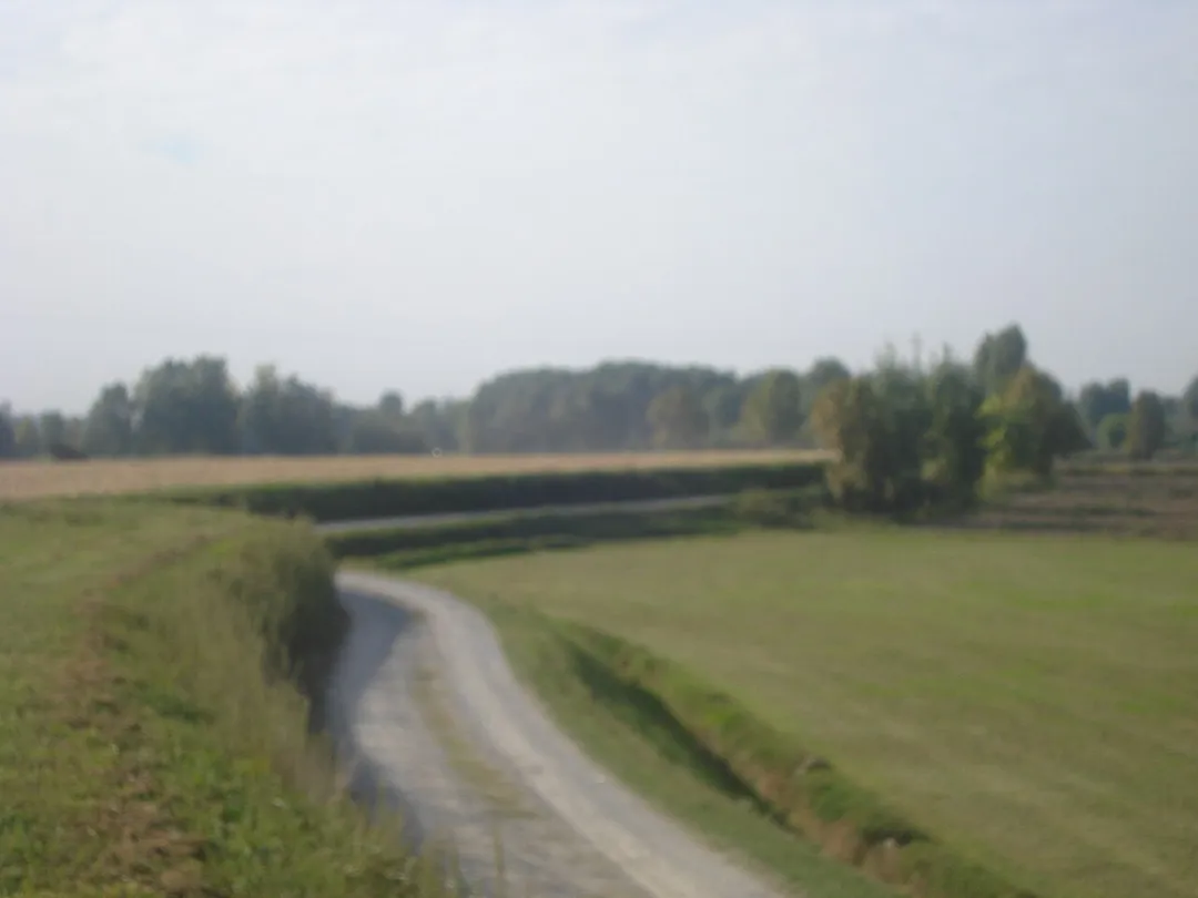 The country of Gottolengo