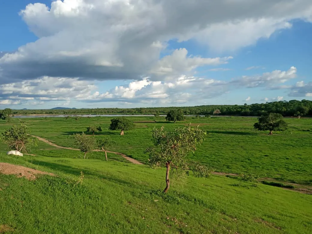 Paysage