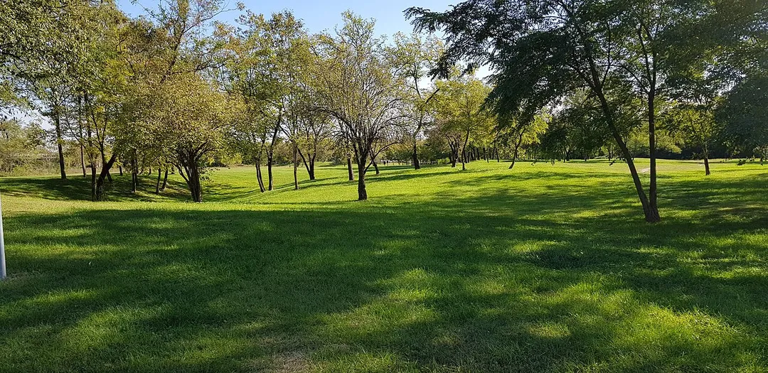 Flora of Parco del Serio in the territory of Grassobbio