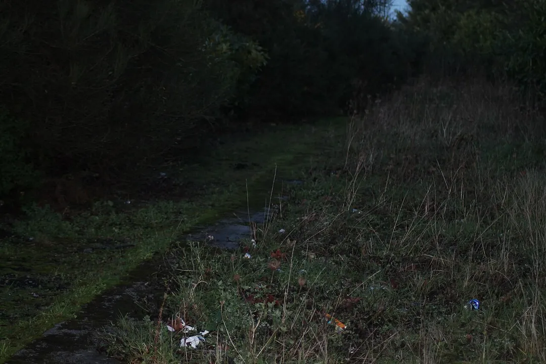 GreenislandThe old Platform 3 At Greenisland. It's heavily overgrown and the trackbed has been filled in up to Platform level, but the coping stones are still to be seen.
