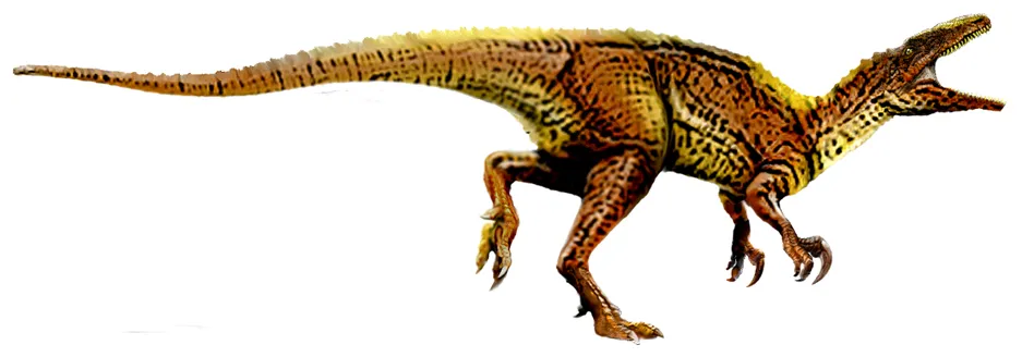 Artistic representations of Australovenator wintonensis