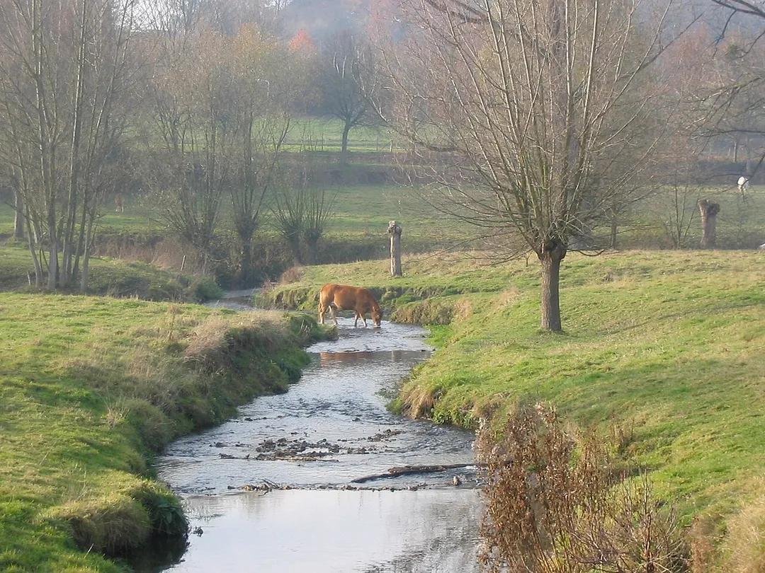 Gulp at Slenaken, Netherlands
