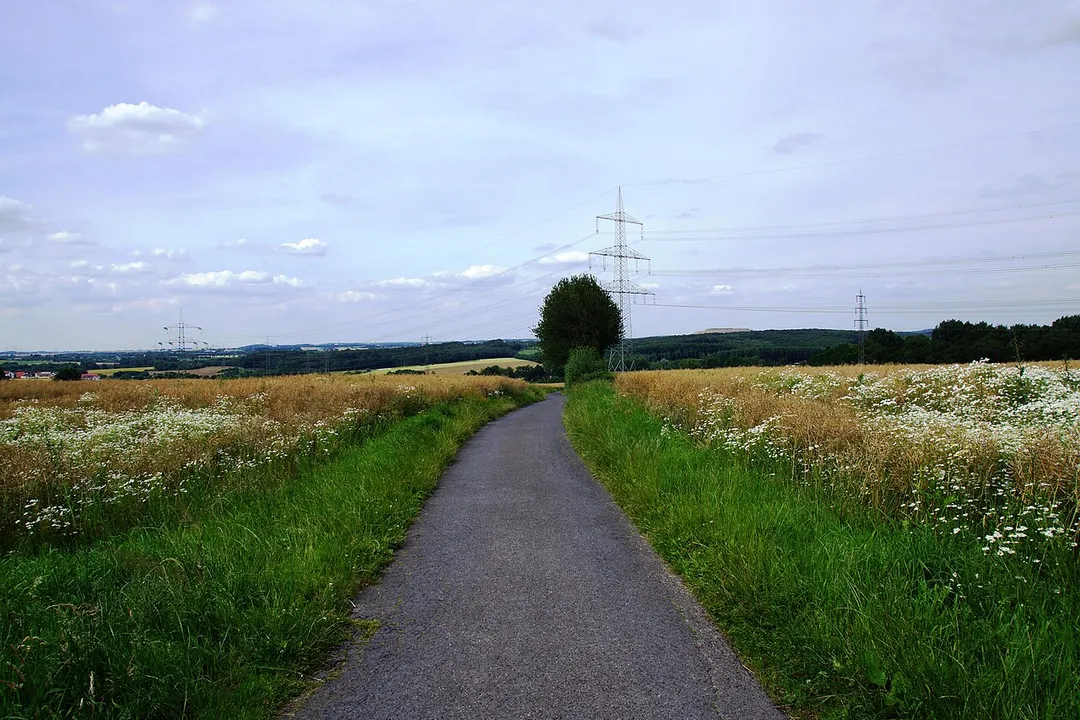 A part of Haan - View Haan-Gruiten; 380/220 kV power line (Bl. 4516)