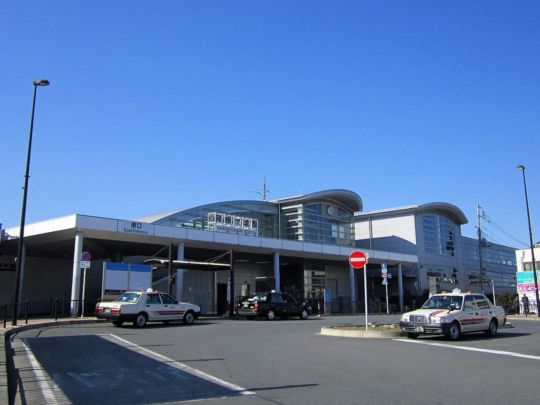 Photo of Hakonegasaki