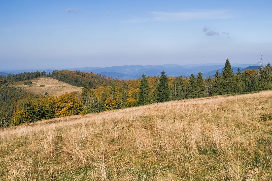 Hala Mędralowa, Magurka and Hala Kamińskiego on the left