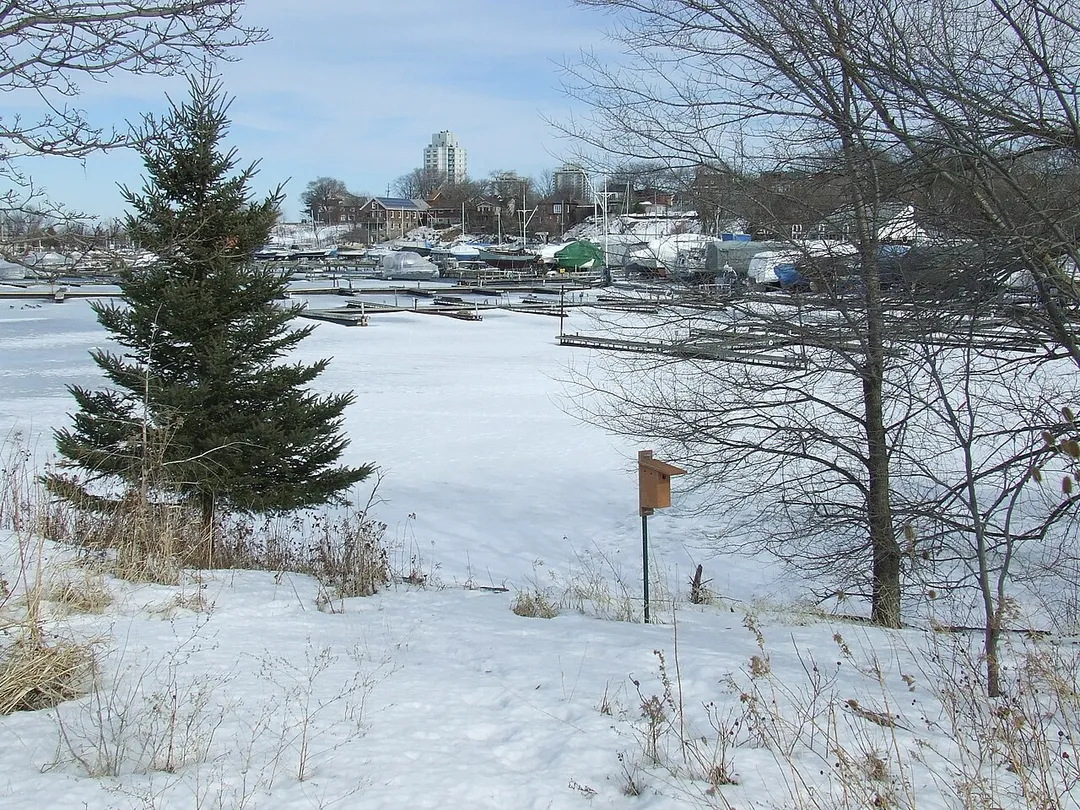 Hamilton Marina in Winter 2014