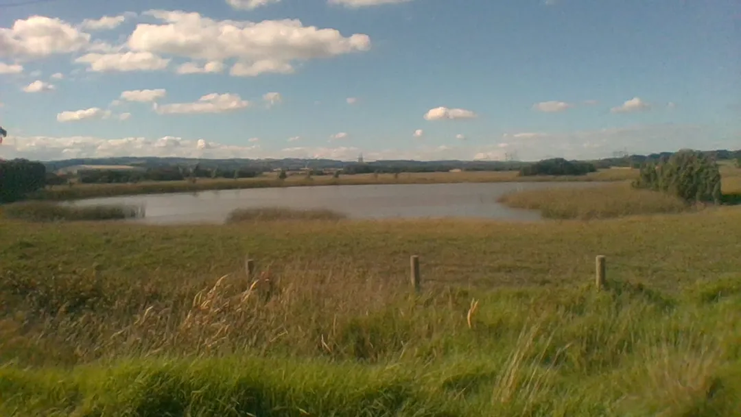 A sign next to this photo was titled "Troupes Creek Wetlands". Taken in Victoria, Australia, in Hampton Park, near Hallam.