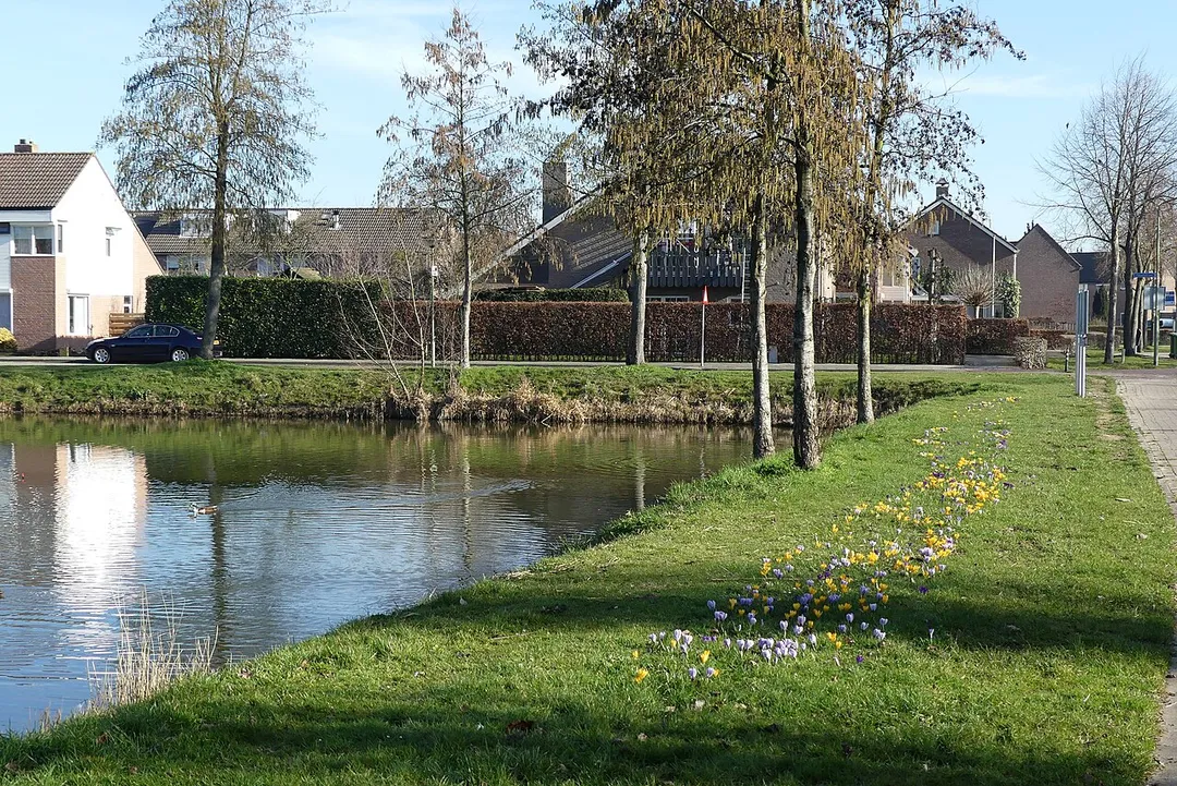 Zicht op een deel van een plantsoen langs de Kerkstraat in Hank