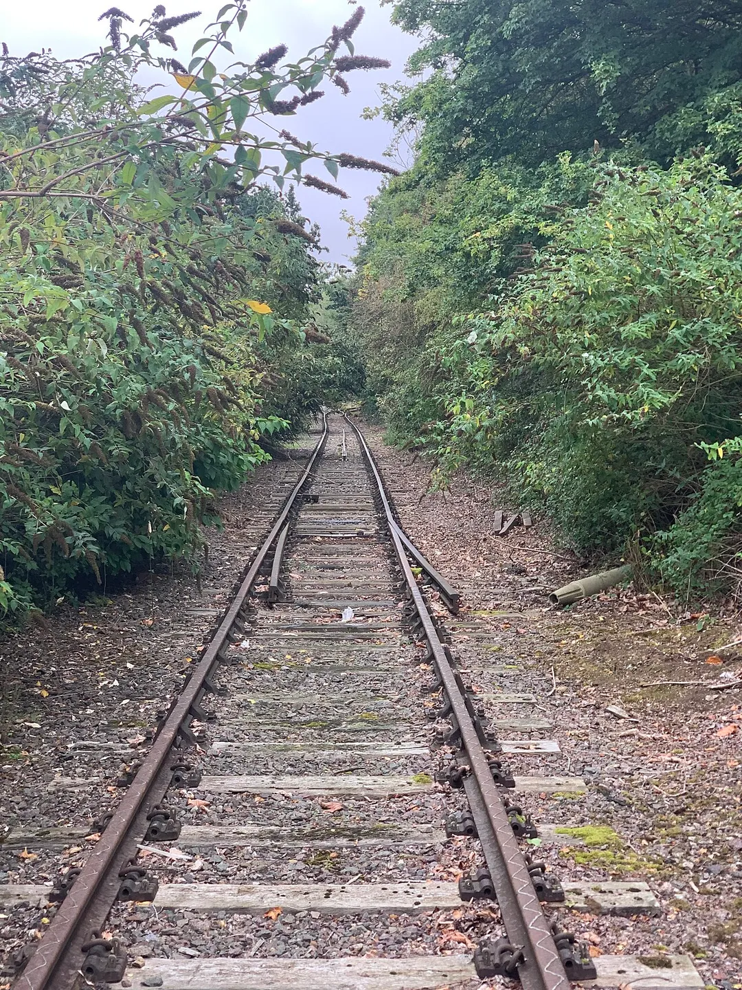 A single track railway located in Brackmills, Hardingstone, UK surrounded by bushes