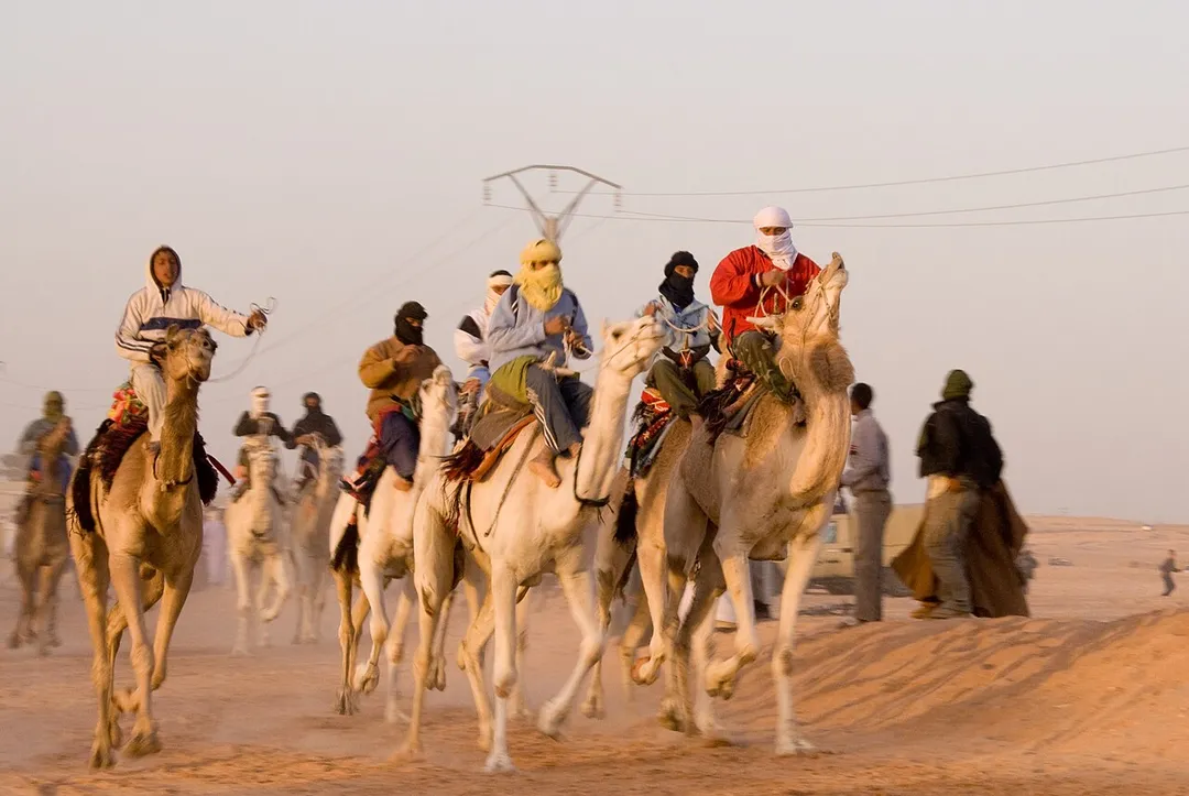 A Camel Race at Ouargla, south of Algeria, entry of Tassili desert, near Hassi Messaoud February 27th 2007