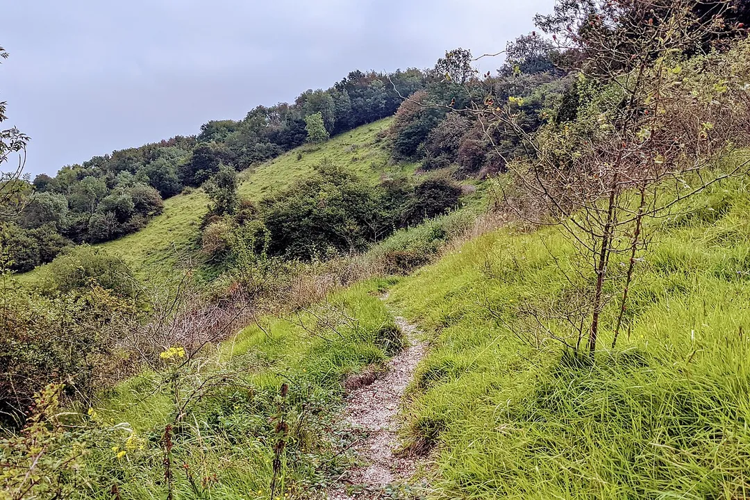 Clayton Holt path along steep slope, going east towards Ditching Beacon.
