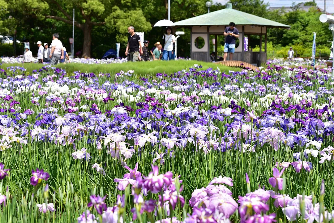 油ケ渕遊園地