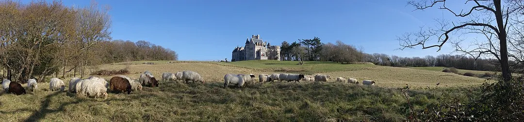 Abbadia domain : the castle and a flock of sheep. Hendaye, Pyrénées-Atlantiques, France.