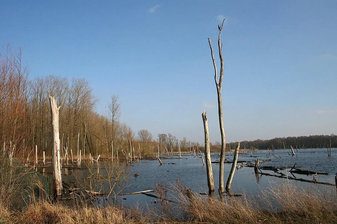 Hensies (Belgium), the Van Gheyt pond.