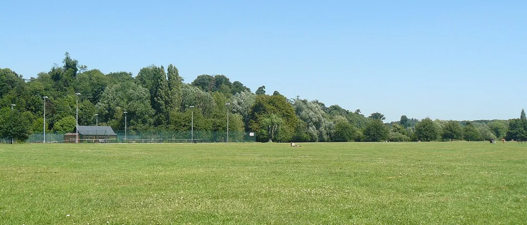 Hartham Common, July 08