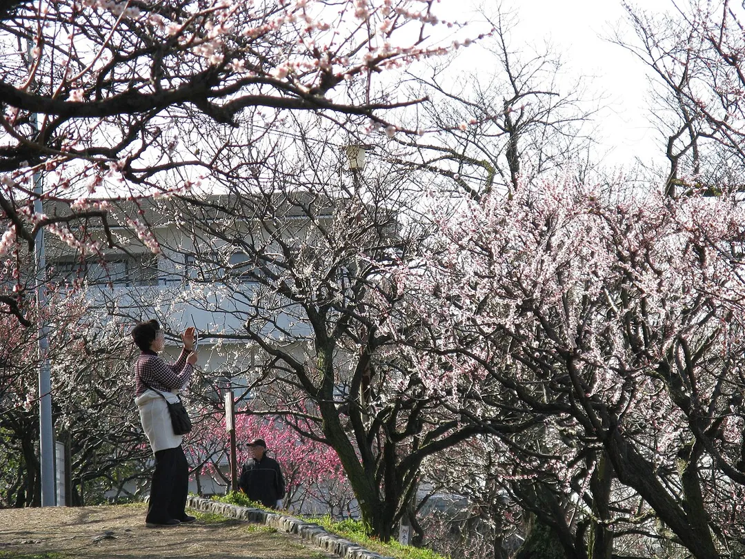 枚岡公園