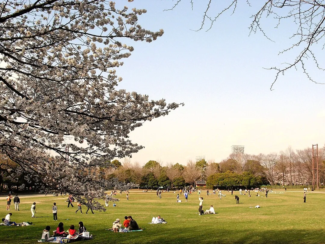 Jōhoku Chūō Park, Tokyo, Japan