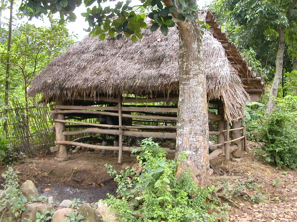 Hoa Binh countryside