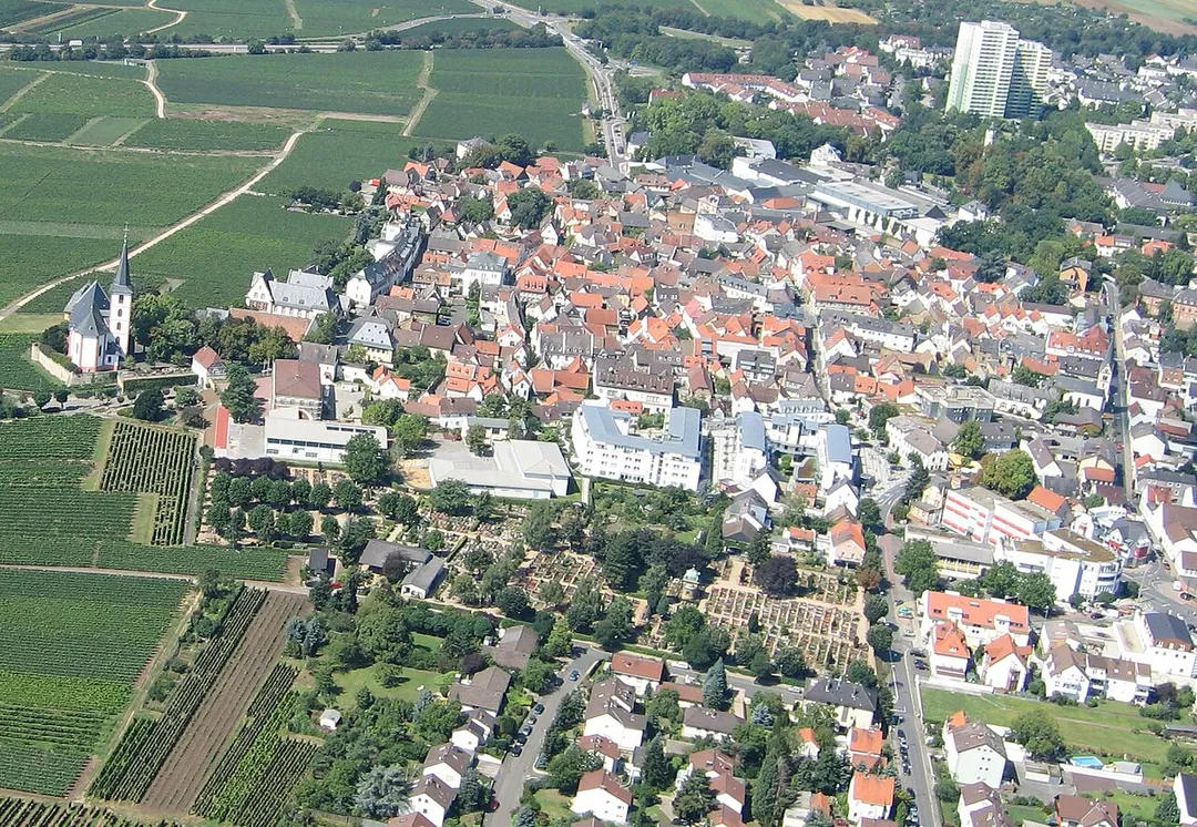 Foto der Altstadt von Hochheim am Main aufgenommen vom Gleitschirm aus am 13.Aug.2005.