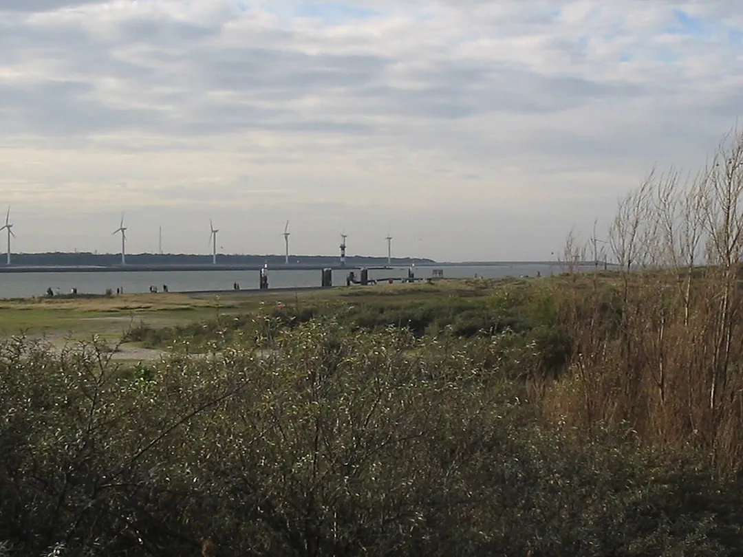Duinen bij Hoek van Holland, 6 november 2005