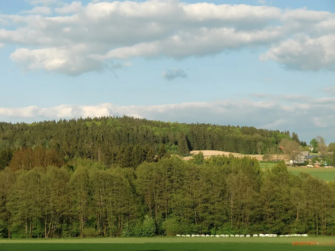 View of the Hohberg in the Franconian Forest from the west