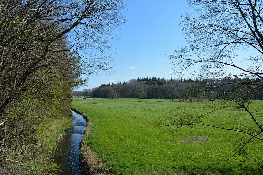 Das FFH-Gebiet "Tal der Rantzau" bei Hohenlockstedt