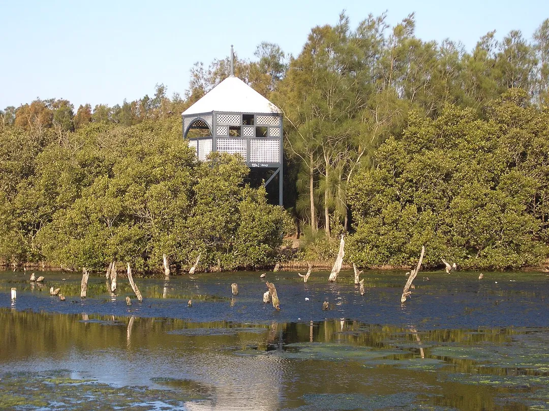 Wetlands at Bicentennial Park, Homebush Bay
