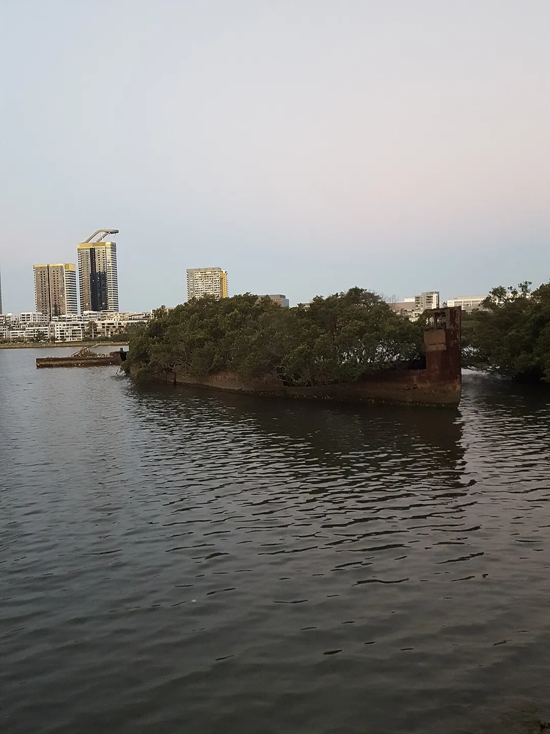 Homebush Bay with SS Ayrfield and Rhodes in the background.